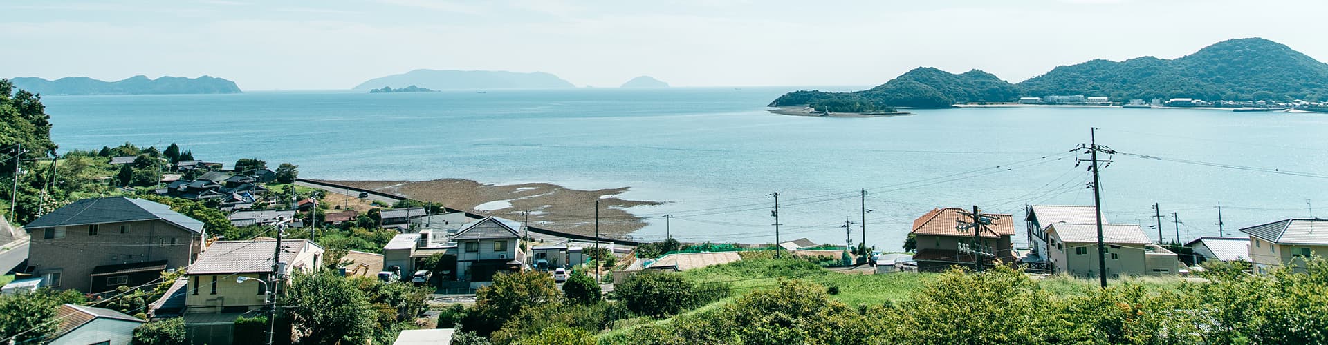 観光情報